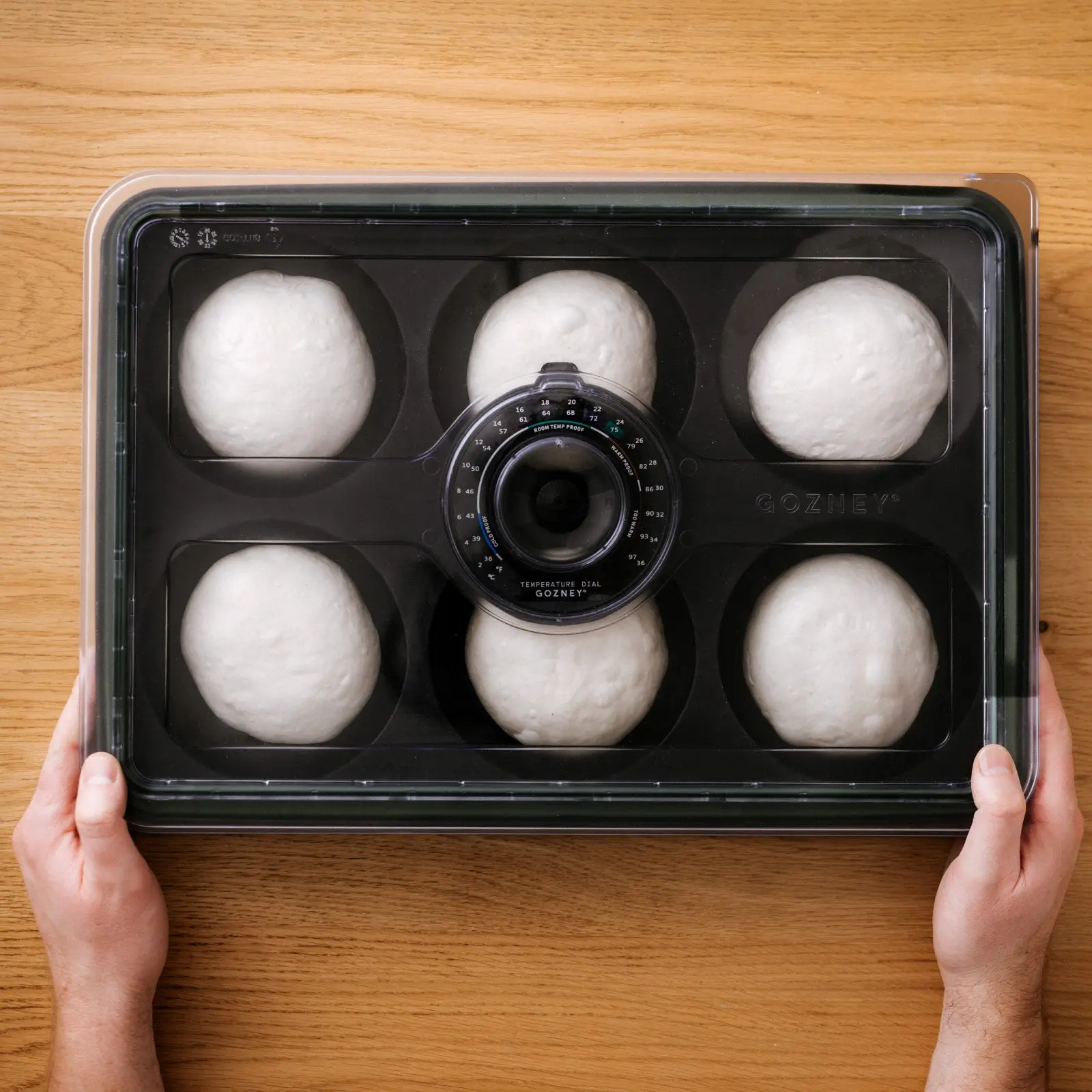 Gozney° Ballen Box für Pizzaballen