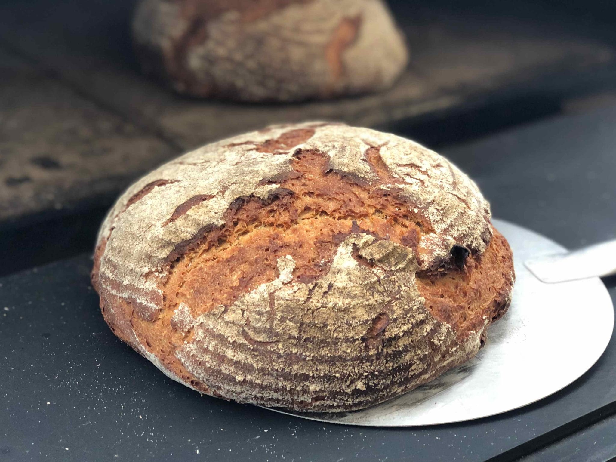Rund gebackenes, rustikales Sauerteigbrot mit knuspriger Kruste, frisch aus dem Holzofen geholt.
